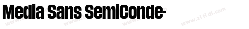 Media Sans SemiConde字体转换 Media Sans SemiConde字体转换